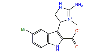 Trachycladindole A